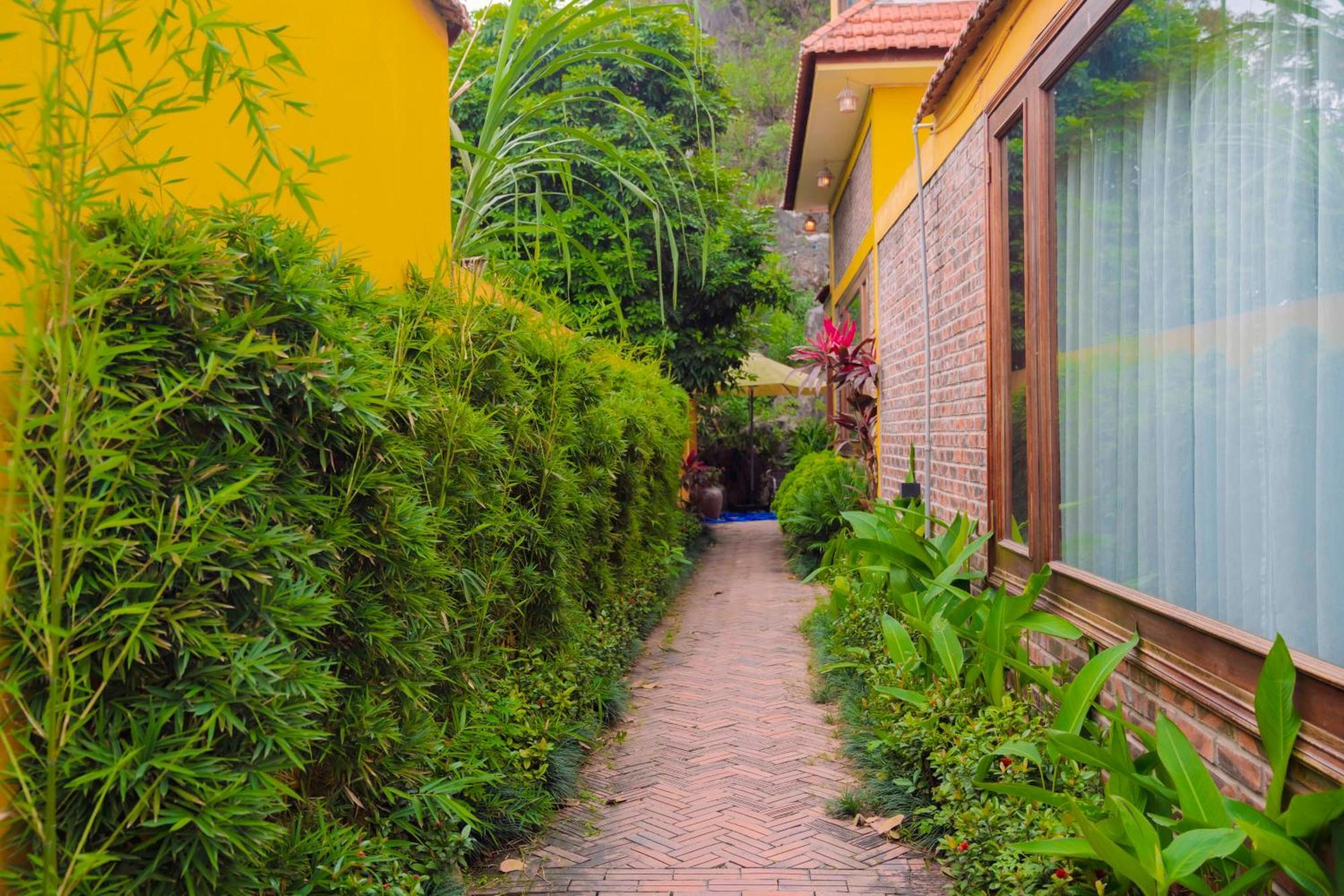 Papaya Bungalow & Rice Fields Ninh Binh Exterior foto