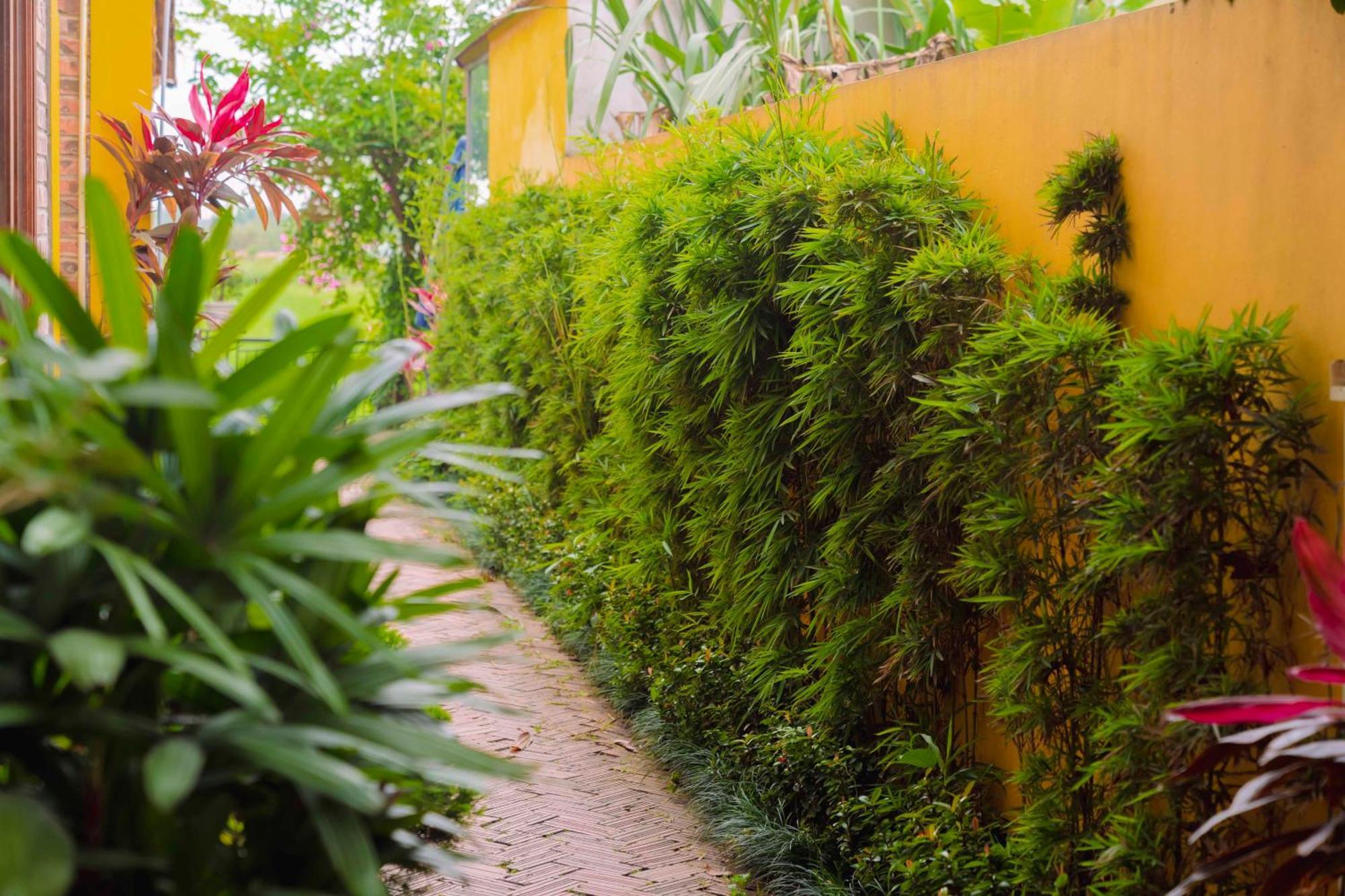 Papaya Bungalow & Rice Fields Ninh Binh Exterior foto